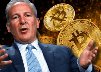 Ekonom Peter Schiff varuje, že bitcoin nemusí růst, když se ostatní finanční aktiva odrazí