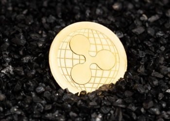 Ripple CEO Denies Reported US$4–$5B Circle Acquisition Amid IPO Plans