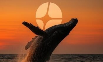Whale opens 3x long on Aster with $500K USDC deposit into HyperLiquid