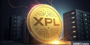 Plasma roste o 12 % – Dokáže XPL překonat klíčový odpor?