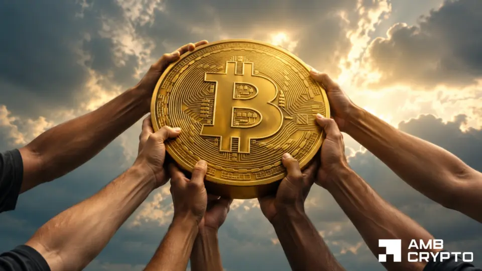 Is Bitcoin stabilizing? What to expect as whales control 35.84% of BTC’s supply