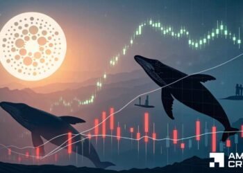 Cardano’s multi-month slump sparks whale activity – ADA’s recovery coming?