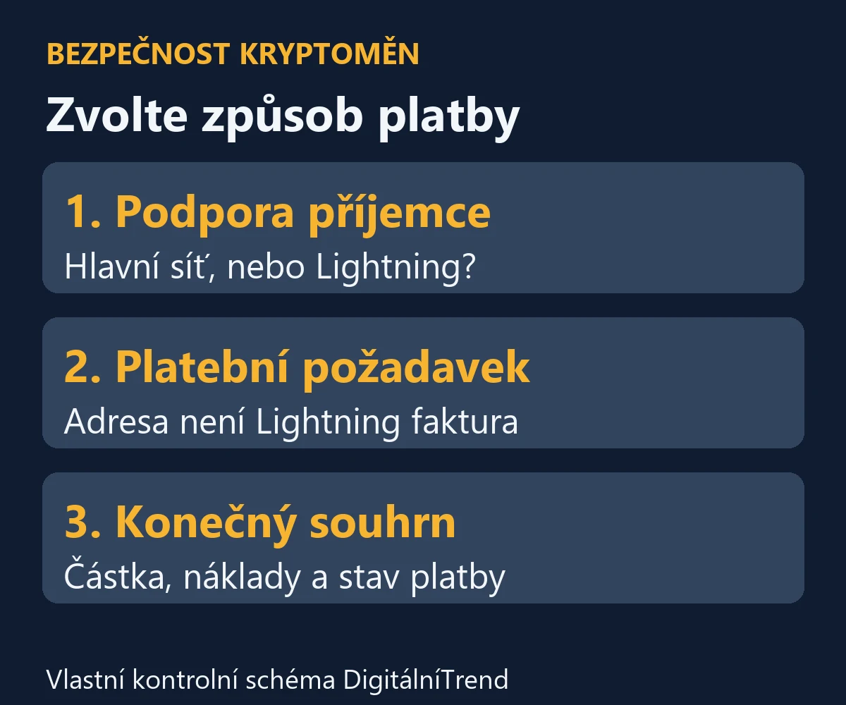 Kontrola bitcoinové platby: podpora příjemce, platební požadavek a konečný souhrn