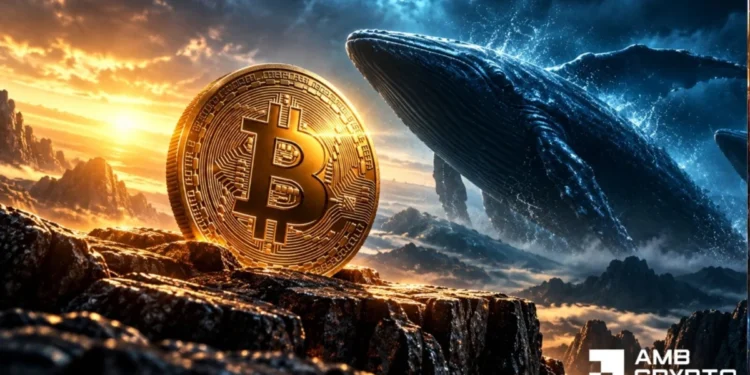 Držitelé Bitcoinu omezili převody na burzy, zatímco velryby přesunuly 307 milionů dolarů – dočkáme se odrazu k 80 tisícům?