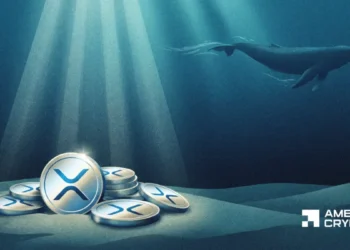 XRP ETF přitahují 4,26 milionu dolarů – přesto tento signál velryb vyvolává otázky