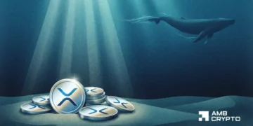 XRP ETF přitahují 4,26 milionu dolarů – přesto tento signál velryb vyvolává otázky